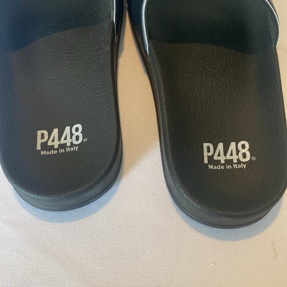 P448 Slides - Picture 3 of 4